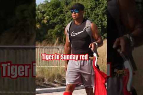 Tiger Woods in his Sunday red 🐅🔴 #Golf #PGATOUR