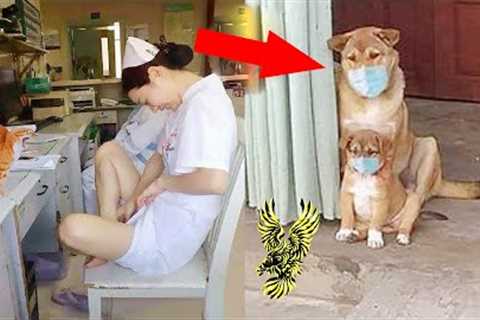 Funniest ANIMALS VS HUMANS Caught On Security Cameras And CCTV
