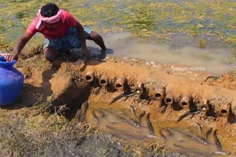 MURREL FISH CATCH AND COOKING A very delicious Dinner in Nature in Village