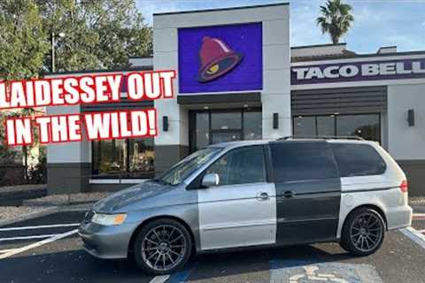 The Plaidessey's First Drive to Taco Bell
