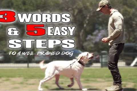 5 EASY Steps to Successful DOG Training - Using only 3 words