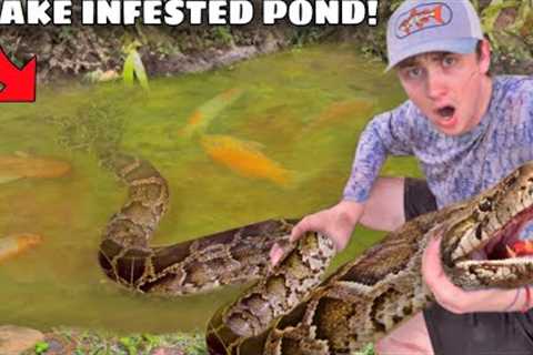 I Found a Pond INFESTED with Deadly Snakes!