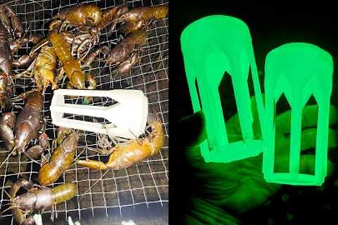 Unbelievable Yabbying Haul: I Caught 78 Yabbies in 1 Check