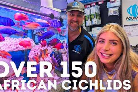 The LARGEST Supplier of African Cichlids! (Aquarium Central Tour)