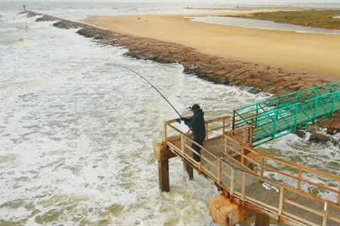 Fisherman Lands HUGE Fish on The MOST Interesting Fishing Pier in The Gulf!