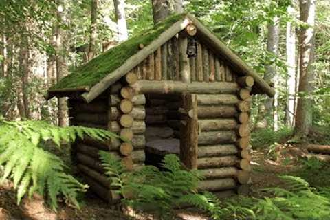 Building a Survival House in the Larch Woods. From start to finish. ASMR
