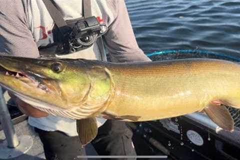 LOST EPISODE- FISHING NEW MUSKY WATERS - AMAZING FOOTAGE