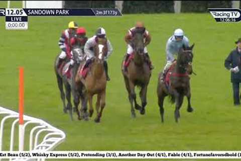 SANDOWN PARK ALL HORSE RACING HIGHLIGHTS 109_December_2023