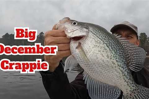 Big December/Fall Crappie Fishing Tips, Locations w/ Livescope Footage