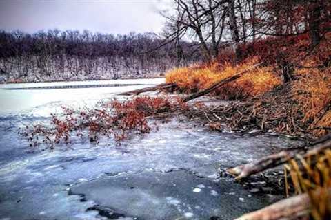 Trapping a PRIVATE Fishing Pond!!!!!