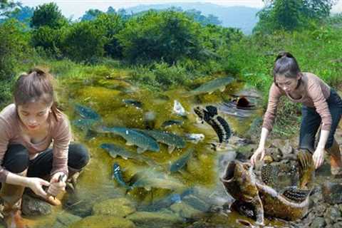 Survival girl catching fish, Bushcraft camping, Wild stream fish catching skills - OFF GRID LIVING