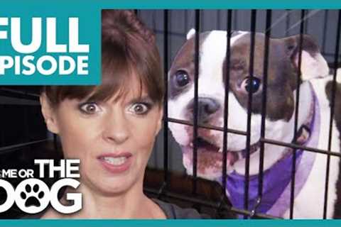Loudest Dogs Ever are Kept in Cages ALL DAY!😢 | Full Episode | It's Me or The Dog