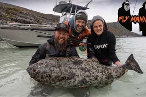 Incredible week of fly fishing for halibut in Sørøya l Flymaniacs Niklaus Bauer &amp; Paolo..