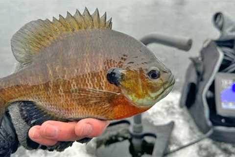 First Ice Bluegills On SECRET Hidden Lake!!