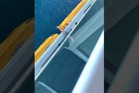 Guy jumps off largest cruise ship in the world: symphony of the seas (aftermath)