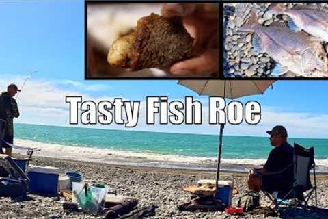 Fun Day Catching Snapper at 300m  - Catch &amp; Cook Fish Roe in The Skin!
