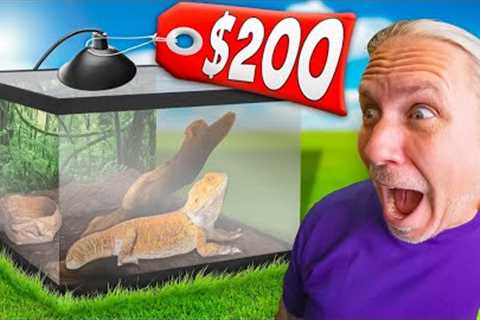 Best Bearded Dragon Cage For Under $200!