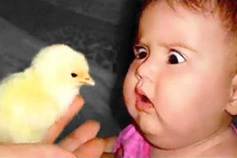 Funniest Babies And Animals Compilation || Just Laugh