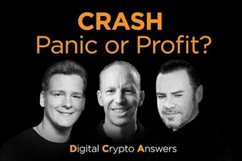 📉💥 Crypto Crash: Panic or 💸 Profit?!