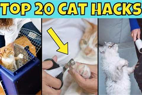 Top 20 Cat Hacks You NEED to Know