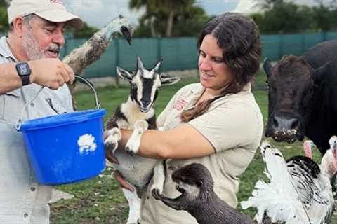 This is Blake's Exotic Animal Farm🤩