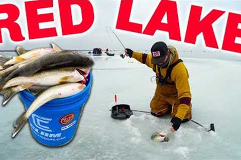 RED LAKE Ice Fishing IS ON FIRE! (Catch &amp; Cook Limits)