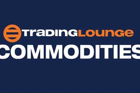 COMMODITIES: Bitcoin, Bonds, DXY, Gold, Silver, Iron Ore, Copper, Uranium, Oil, Gas. Elliott Wave