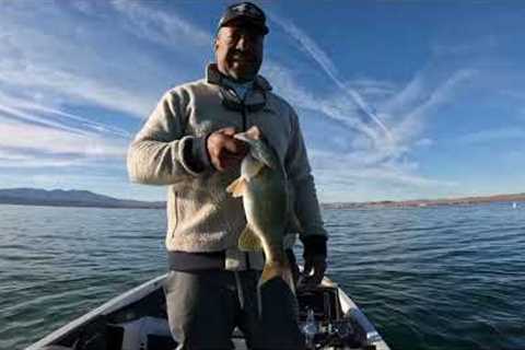 Fishing with a $200,000 Lure. The bait that catches all the bass in the Lake. When chasing bait.
