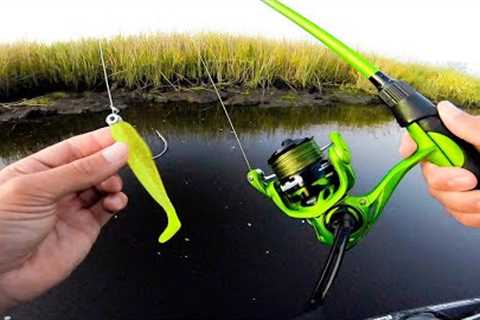 Swimbait Fishing for Whatever Bites! (4 Species)