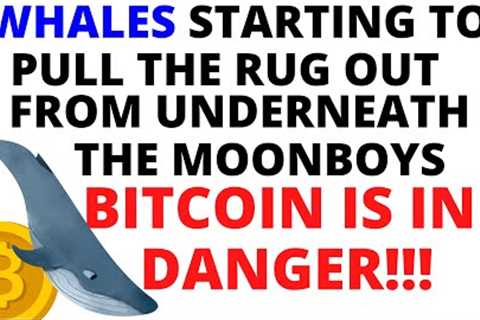 Bitcoin Distribution Has Begun- BTC Whales Starting to Pull the Rug Out From Underneath the MoonBoys