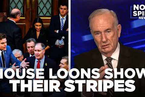 House Loons Show Their Stripes