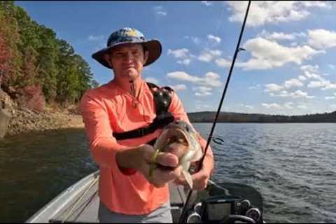 November Bass Fishing At A Secluded Arkansas Lake