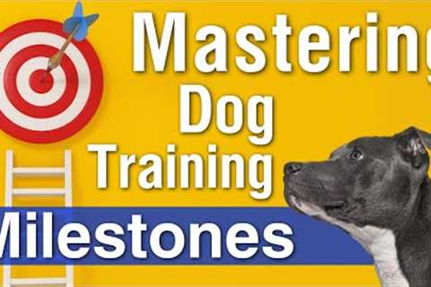 Milestones That Transform Your Dog's Life! Goals To Achieve Dog Training Success #248 #podcast