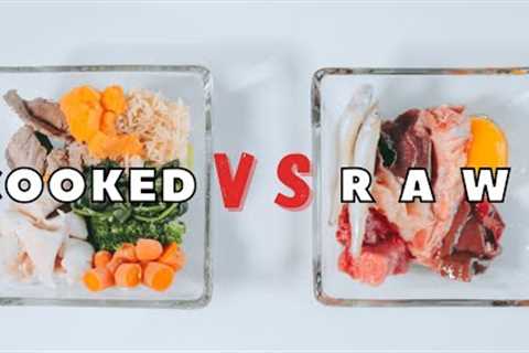 Raw Vs. Cooked Pet Food - Which Is Better?