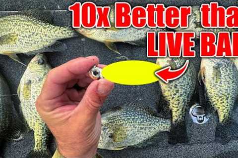 this New Lure OUT FISHES Live Bait 10 to 1!!! (BEST Crappie &amp; Bass Winter Bait)