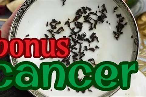 CANCER: AT THE HEART OF THIS! ✨You Are The Question &amp; The Answer // ASMR tea leaf reading..
