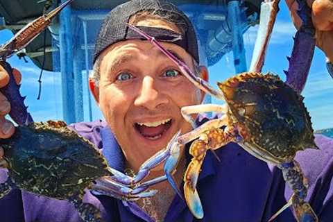 Crab Season is Open! What a Day! Catch n Cook