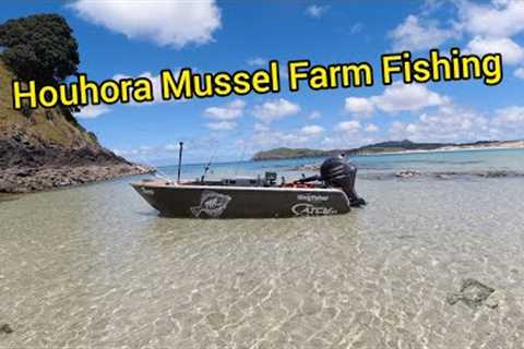 Houhora Mussel Farm Fishing With Nova