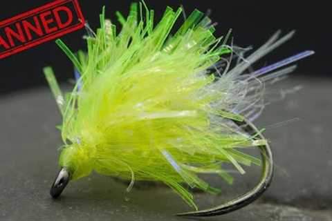 Traditionalists Want This Fly BANNED!