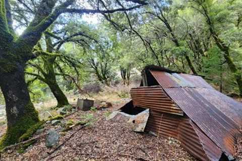 Abandoned Gold Mine Overloaded With Quartz &amp; Crystals