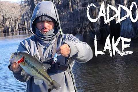 Fishing CADDO LAKE For Schooling Bass! (FOUND THEM)