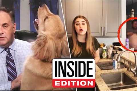 Our Favorite News Reporters Working From Home Bloopers