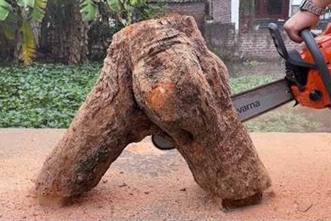 Scrap Tree Trunk Wood Project: Discover The Secret To Making Coffee Table From Discarded Tree Trunks
