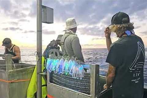 Offshore Fishing - Episode 12 - Heading back to Ulladulla with some big Swordfish