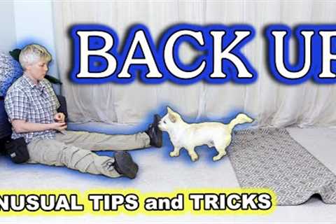 FUN and UNUSUAL tips and tricks for training BACK UP