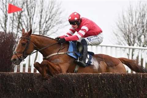 Chaser to follow! BLOOD DESTINY looks exciting at Naas | Racing TV