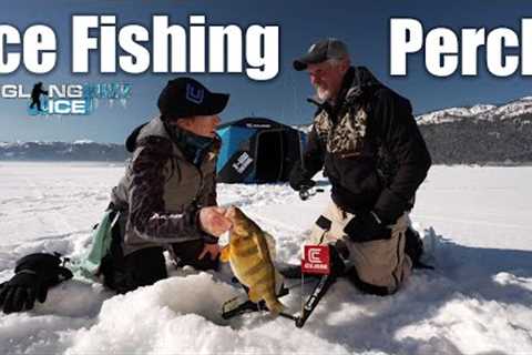 Ice Fishing Perch