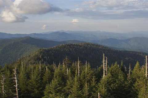 9 Tips To Ensure The Best Trip To Pigeon Forge
