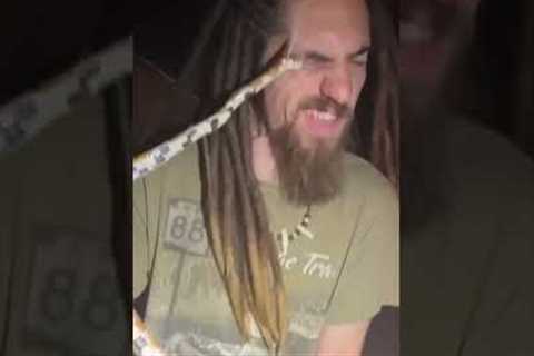 Corn snake bites my face!! #animals #reptiles #fail