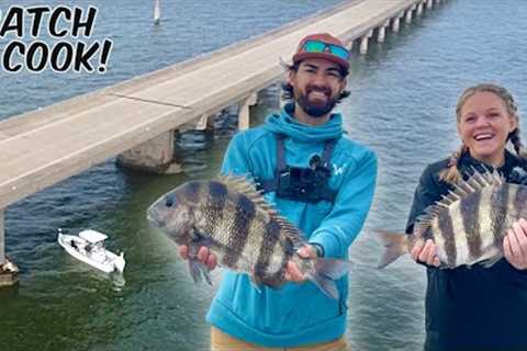 This GIANT BRIDGE Was STACKED with the Ocean’s TASTIEST FISH! — CATCH and COOK Sheepshead!!!